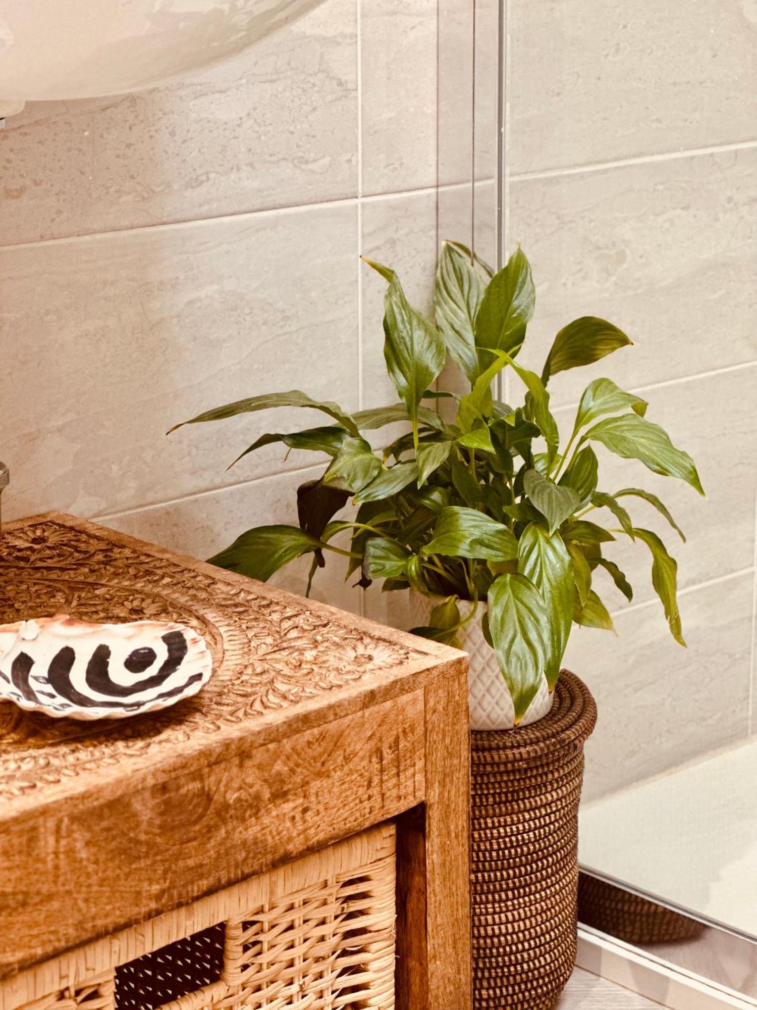 Casa Mira Luxury Sea House Fco Airport Apartment Fiumicino Bagian luar foto